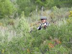 IMG_3380 (Copiar).JPG