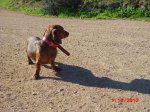 CIMG0543_15.JPG