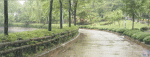 landscape1.gif