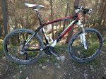 wilier (3).jpg