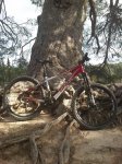 2012-12-01 14.09.58 (Copiar).jpg
