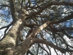 2012-12-01 14.10.10 (Copiar).jpg