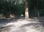 2012-12-01 13.49.20 (Copiar).jpg