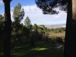 1 (7) (Copiar).jpg