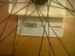IMG00385-20121007-1814.jpg