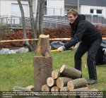 logger.jpg