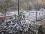 2012-12-01-12.jpg