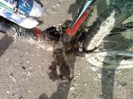 bajaIMG492.jpg