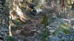 DSCN7463.jpg