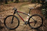 specialized_s-works_29er_7960g_por_ninko_20100506_1182580093.jpg