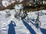 20121202_120810.jpg