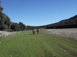 DSCF1316-1.jpg