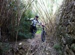 IMG-20121201-WA0005.jpg