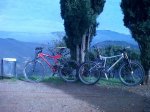 IMG00264-20121121-1048.jpg