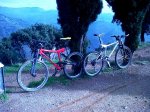 IMG00266-20121121-1048.jpg
