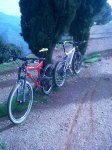 IMG00267-20121121-1048.jpg