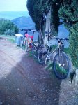 IMG00268-20121121-1049.jpg
