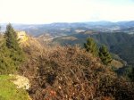 IMG_1079.JPG