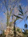 PC010002.JPG