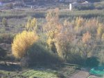 PC020013.JPG