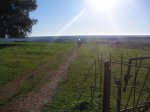 PC020125.JPG