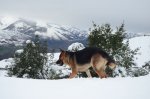 DSC_0524.JPG