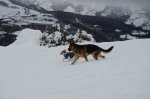 DSC_0548.JPG