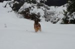DSC_0565.JPG
