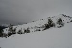 DSC_0573.JPG