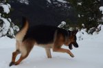 DSC_0576.JPG
