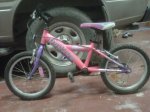 IMG-20121203-00159.jpg