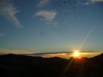 AMANECER.JPG
