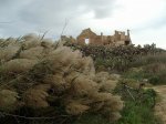 Con viento.JPG