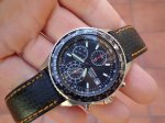 dsc02943zt.jpg