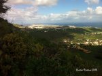 IMG_1668.jpg