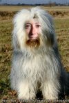 petrana.jpg