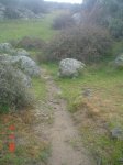 14. fresnedillas-zarzalejo.JPG