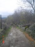 26. zarzalejo-navalagamella.JPG