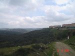 35. navalagamella.JPG
