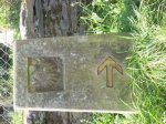 DSCN3157.jpg