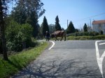 DSCN3171.jpg