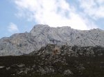 Naranjo de Bulnes.jpg