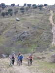 IMG_2545.jpg