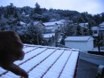 IMG_2622.jpg