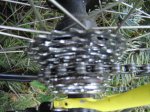 DSC01990.JPG