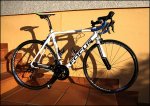 foromtb.jpg