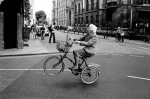 wheelie.jpg