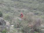 IMG_0933.JPG