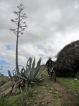 DSCN4045.jpg