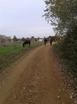 2012-12-06 11.01.50.jpg